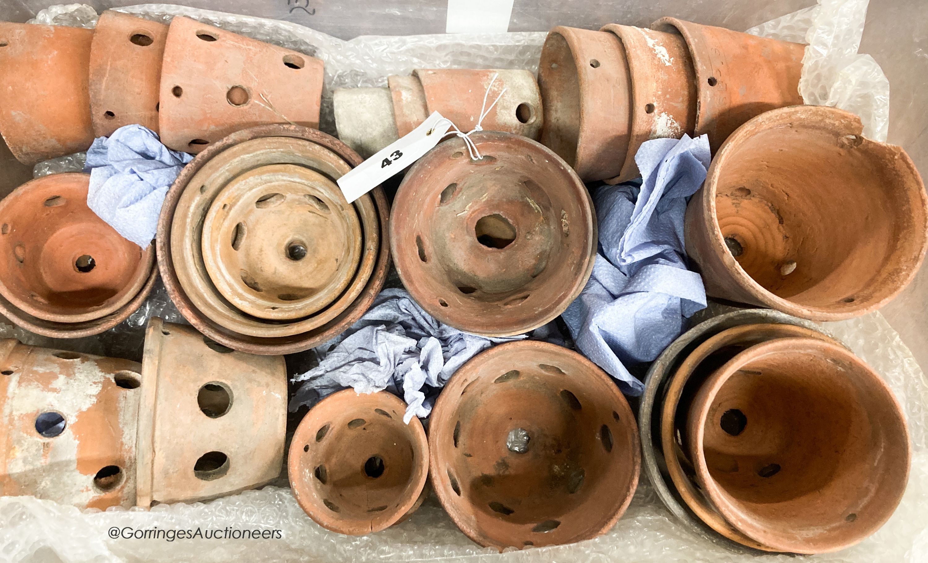 Approximately twenty six terracotta orchid pots, some stamped Sankey's Ltd, in assorted sizes, largest 12cm